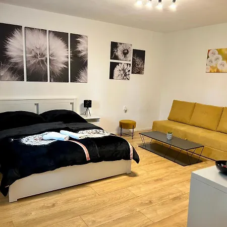 Dandelion * Братислава