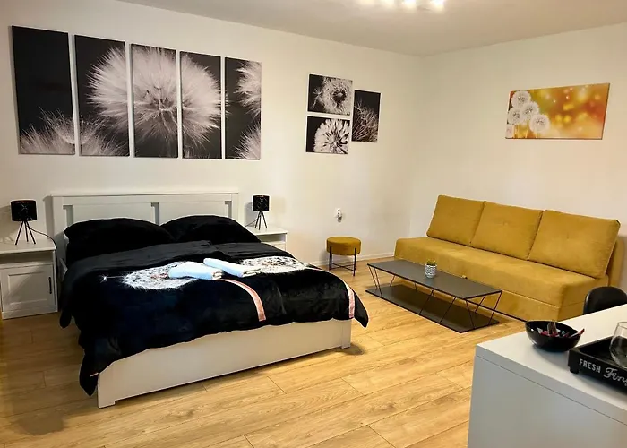 Dandelion * Bratislava